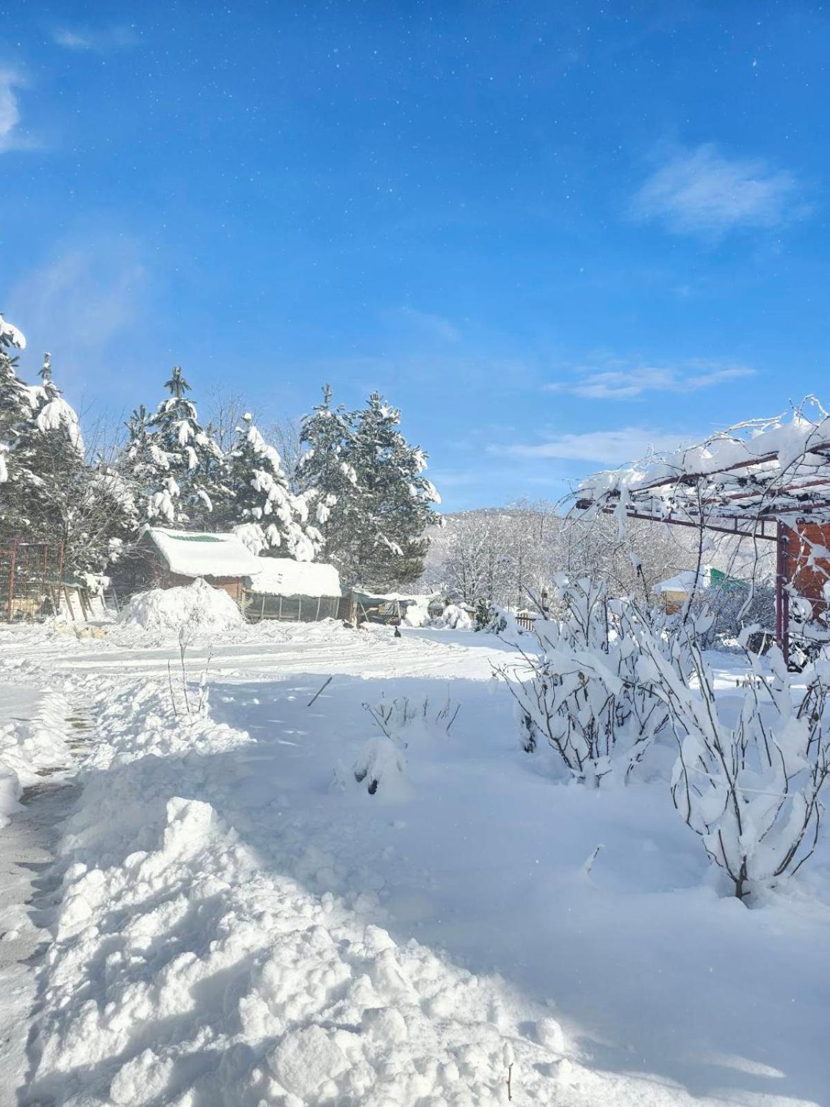 Konaci Oceva Zemlja Bungalovi Konaci Oceva Zemlja Vikendica โมจโคแวก ภายนอก รูปภาพ
