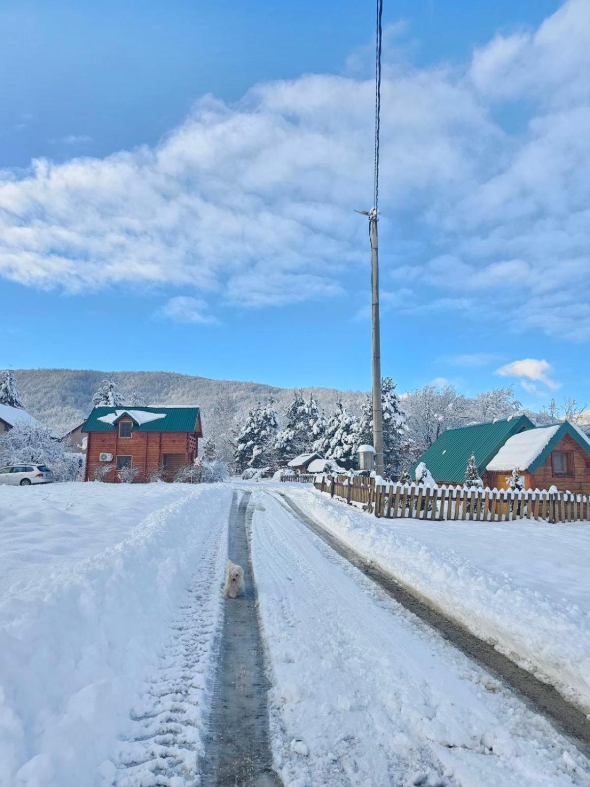 Konaci Oceva Zemlja Bungalovi Konaci Oceva Zemlja Vikendica โมจโคแวก ภายนอก รูปภาพ