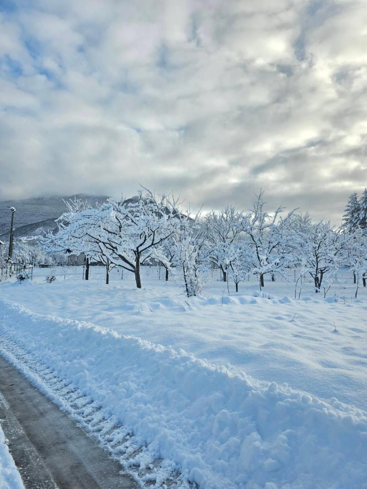 Konaci Oceva Zemlja Bungalovi Konaci Oceva Zemlja Vikendica โมจโคแวก ภายนอก รูปภาพ